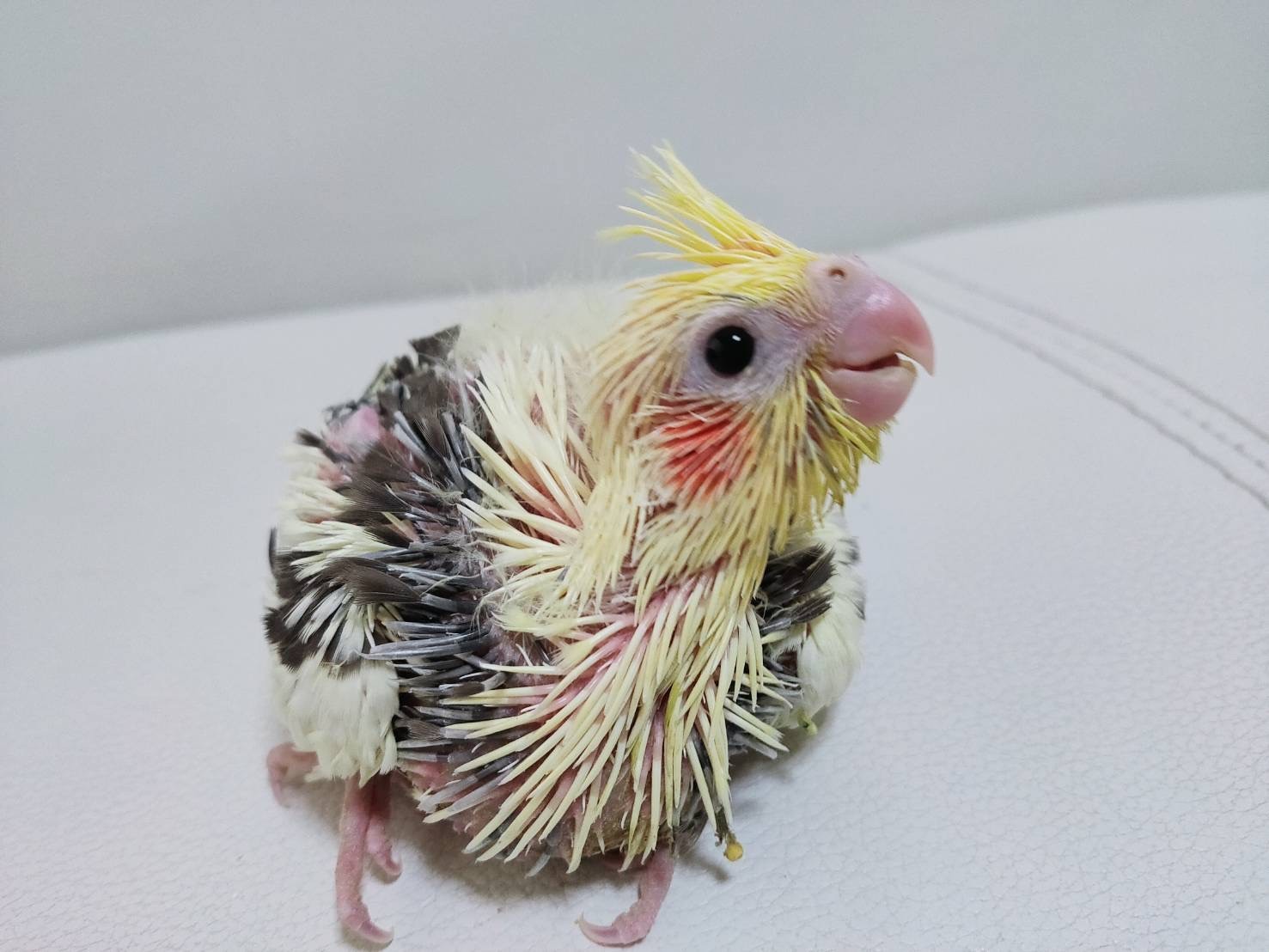 ☺︎模様替え☺︎
