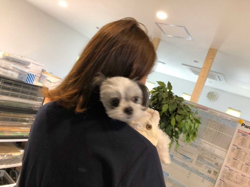 初めまして株式会社スギテックです